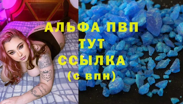 СК Коряжма