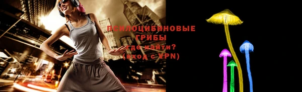 стаф Костерёво
