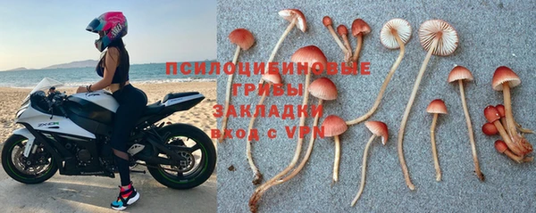 СК Коряжма