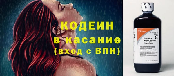 СК Коряжма
