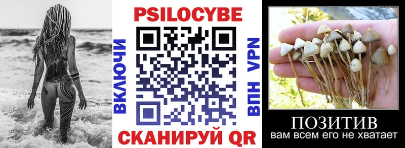 Купить  Суджа  Псилоцибиновые грибы MAGIC MUSHROOMS 